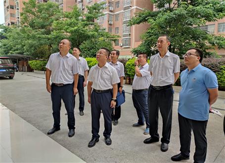 覃振華率隊到桂金分公司調(diào)研指導工作