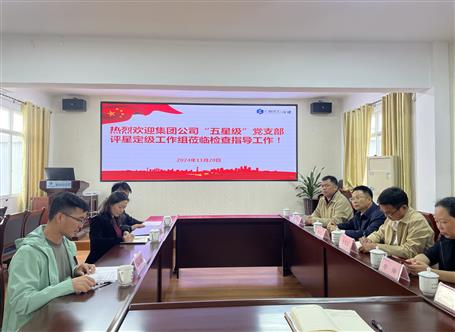 集團(tuán)公司檢查組到冶建基礎(chǔ)分公司開(kāi)展五星級(jí)黨支部評(píng)星定級(jí)工作